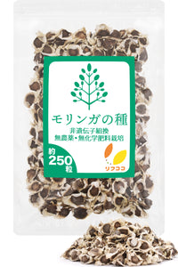 リフココ モリンガ 種  インド産 家庭栽培用 モリンガオレイフェラ（ワサビノキ科） 非遺伝子組換 無農薬/無化学肥料で栽培したモリンガの種