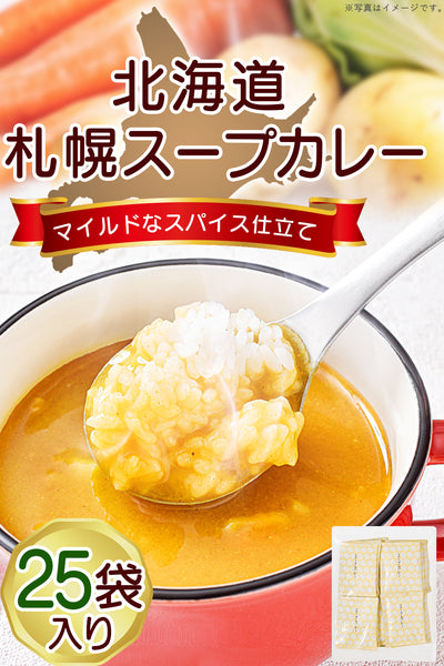 リフココ 北海道 札幌スープカレー 個包装 1食(17g)×25食セット/1食(17g)×25食セット×2袋セット/1食(17g)×25食セット×3袋セット お湯で簡単 粉末 インスタント スパイスカレー 北海大和 即席スープ お徳用 保存に便利なチャック付き袋入り